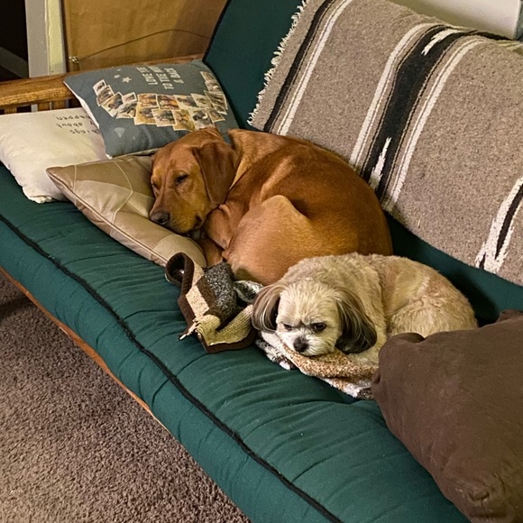 Meet your Posher, Julie - Picture 1 of 1